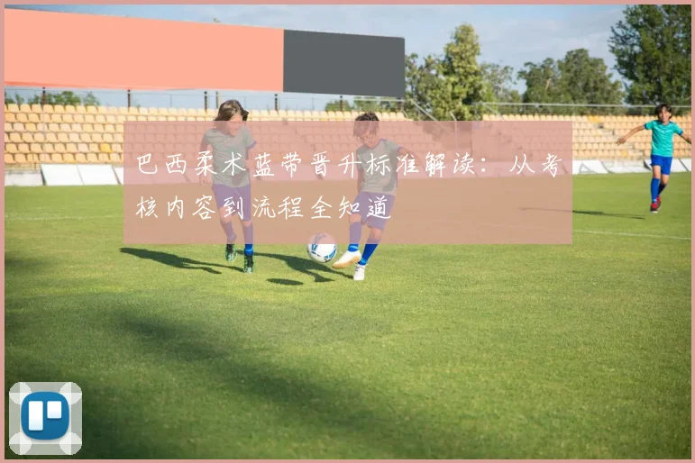 巴西柔术蓝带晋升标准解读:从考核内容到流程全知道
